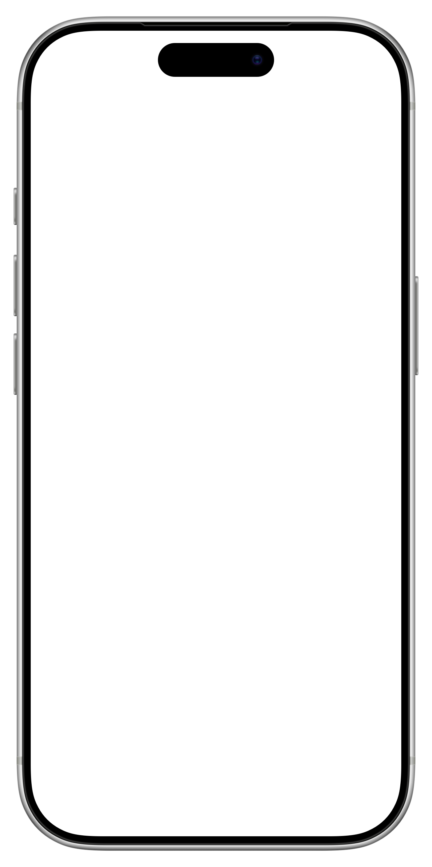 iPhone frame
